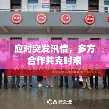 应对突发汛情，多方合作共克时艰