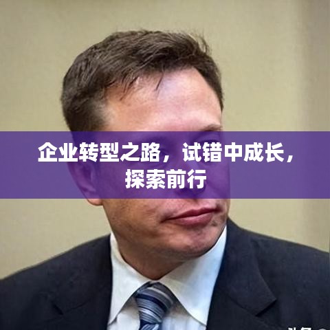 企业转型之路，试错中成长，探索前行