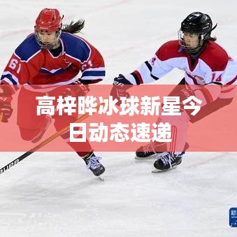 荡然无存
