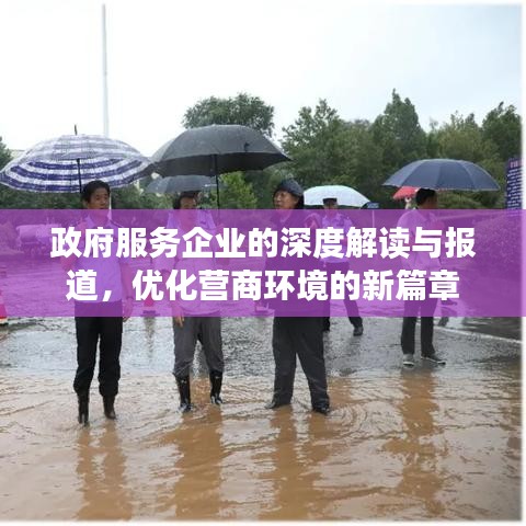 政府服务企业的深度解读与报道，优化营商环境的新篇章