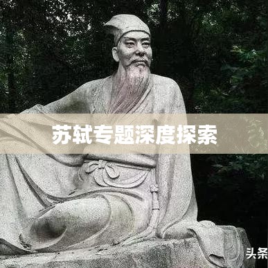 苏轼专题深度探索