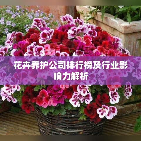 花卉养护公司排行榜及行业影响力解析