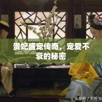 贵妃盛宠传奇，宠爱不衰的秘密