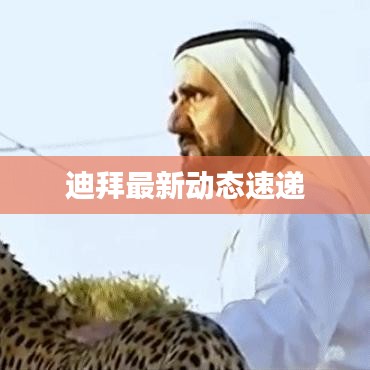迪拜最新动态速递