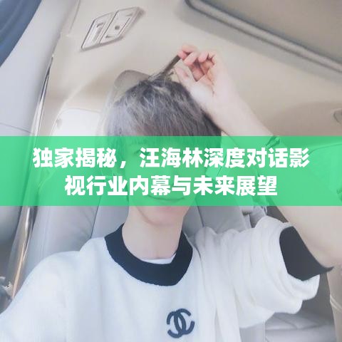 独家揭秘，汪海林深度对话影视行业内幕与未来展望