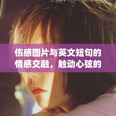 伤感图片与英文短句的情感交融，触动心弦的瞬间