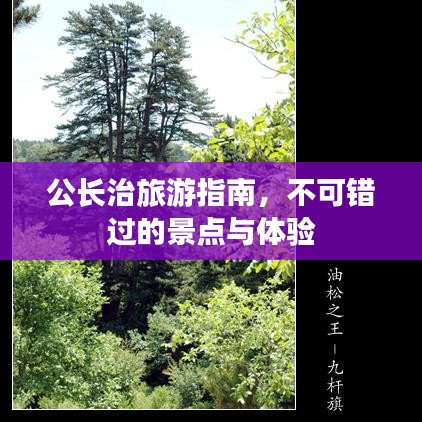 公长治旅游指南，不可错过的景点与体验