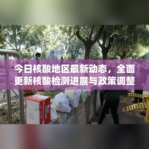 今日核酸地区最新动态，全面更新核酸检测进展与政策调整速递