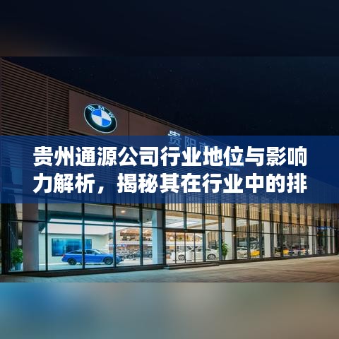 贵州通源公司行业地位与影响力解析，揭秘其在行业中的排名