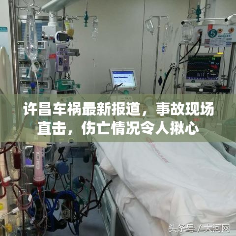 许昌车祸最新报道，事故现场直击，伤亡情况令人揪心