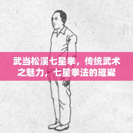 武当松溪七星拳，传统武术之魅力，七星拳法的璀璨瑰宝