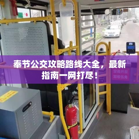 奉节公交攻略路线大全，最新指南一网打尽！