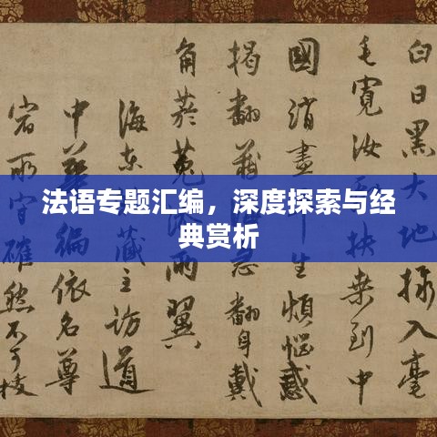 法语专题汇编，深度探索与经典赏析