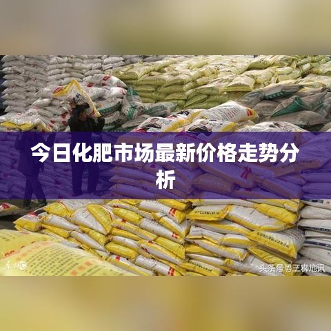 今日化肥市场最新价格走势分析