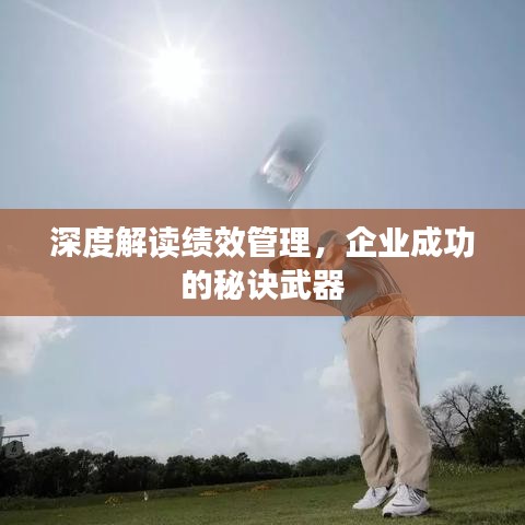 深度解读绩效管理，企业成功的秘诀武器