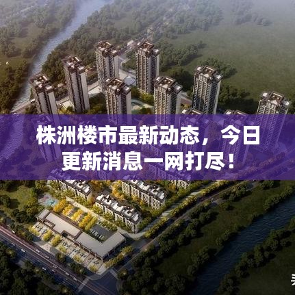 株洲楼市最新动态，今日更新消息一网打尽！