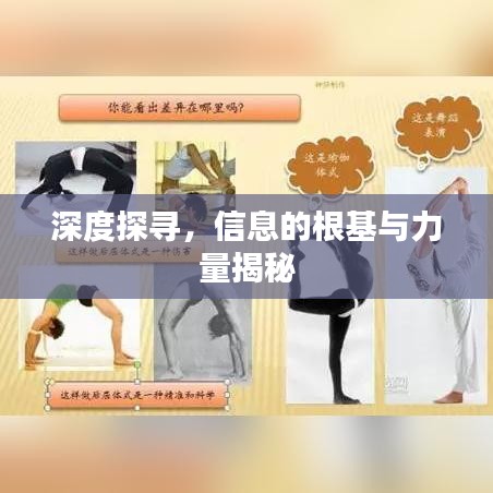 深度探寻，信息的根基与力量揭秘