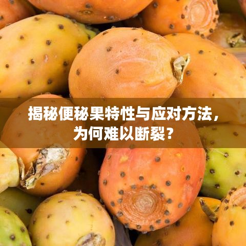 揭秘便秘果特性与应对方法，为何难以断裂？