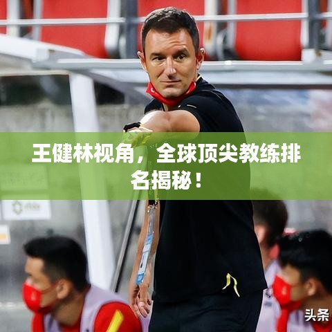 王健林视角，全球顶尖教练排名揭秘！