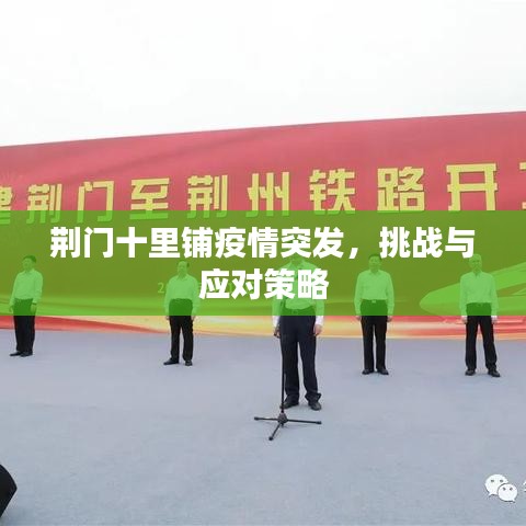 荆门十里铺疫情突发，挑战与应对策略