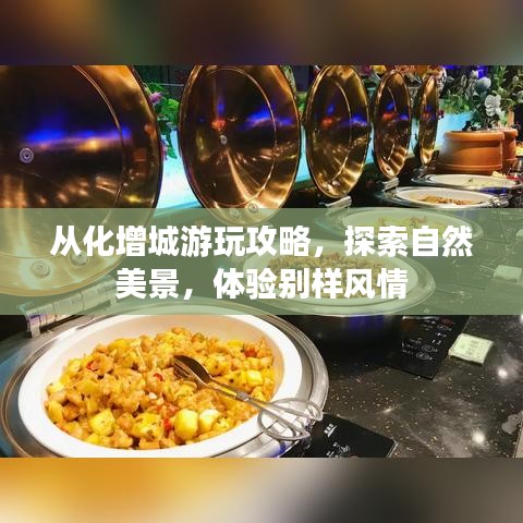 从化增城游玩攻略，探索自然美景，体验别样风情