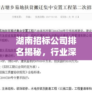 湖南招标公司排名揭秘，行业深度洞察与权威榜单
