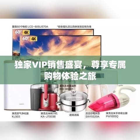 独家VIP销售盛宴，尊享专属购物体验之旅