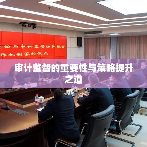 审计监督的重要性与策略提升之道