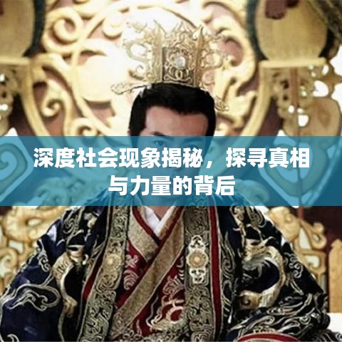 深度社会现象揭秘，探寻真相与力量的背后