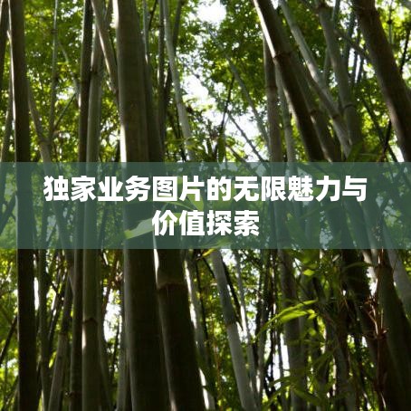 张弛不定