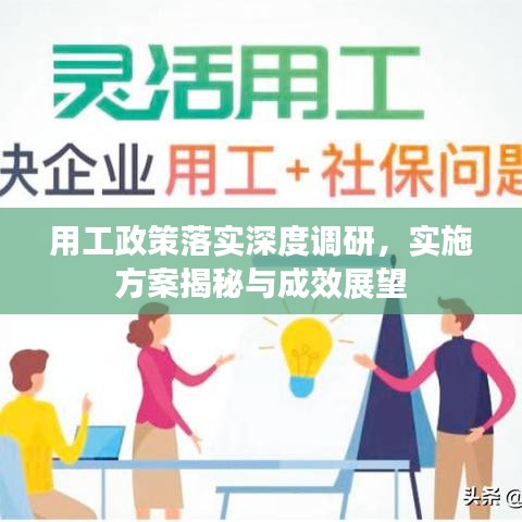 用工政策落实深度调研，实施方案揭秘与成效展望
