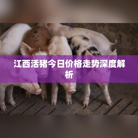 江西活猪今日价格走势深度解析