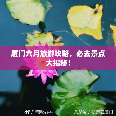厦门六月旅游攻略，必去景点大揭秘！