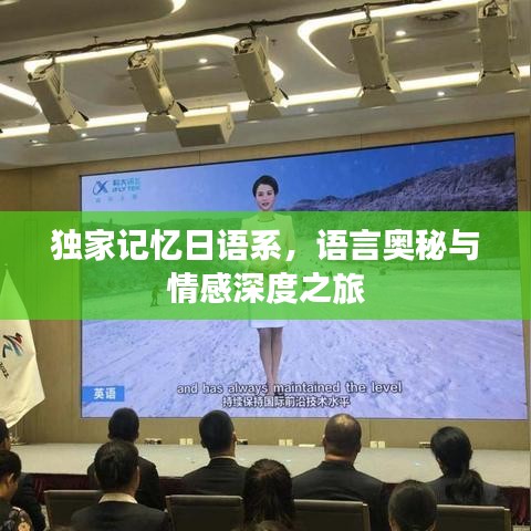 独家记忆日语系，语言奥秘与情感深度之旅
