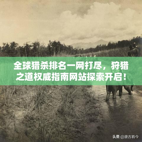 全球猎杀排名一网打尽，狩猎之道权威指南网站探索开启！