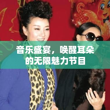 音乐盛宴，唤醒耳朵的无限魅力节目