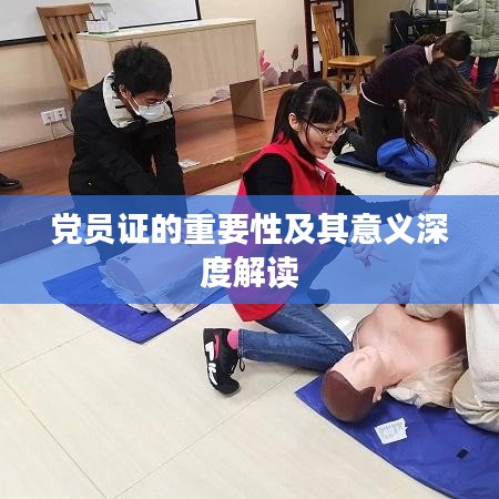 党员证的重要性及其意义深度解读