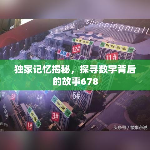 独家记忆揭秘，探寻数字背后的故事678