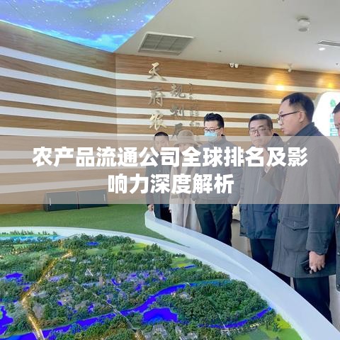 农产品流通公司全球排名及影响力深度解析