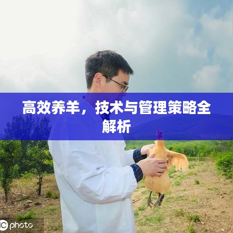 物以希为贵