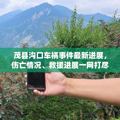 茂县沟口车祸事件最新进展，伤亡情况、救援进展一网打尽！