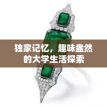 独家记忆，趣味盎然的大学生活探索