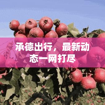 承德出行，最新动态一网打尽