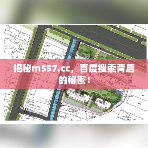 揭秘m557.cc，百度搜索背后的秘密！