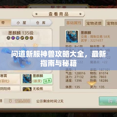 问道新服神兽攻略大全，最新指南与秘籍