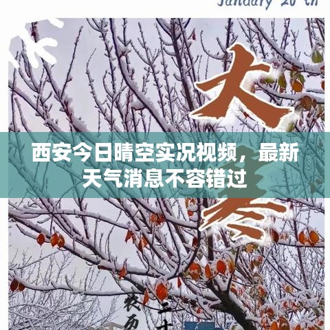 西安今日晴空实况视频，最新天气消息不容错过