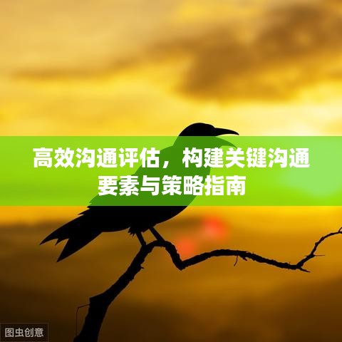 高效沟通评估，构建关键沟通要素与策略指南
