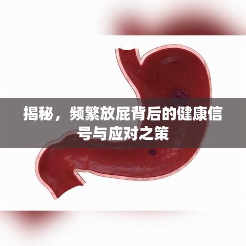 揭秘，频繁放屁背后的健康信号与应对之策
