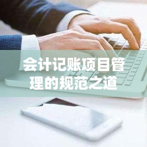 会计记账项目管理的规范之道