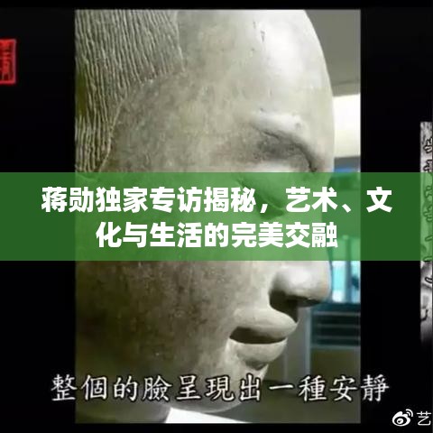 蒋勋独家专访揭秘，艺术、文化与生活的完美交融